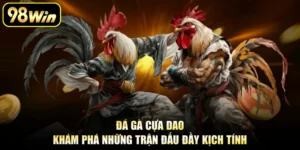 Đá Gà Cựa Dao - Khám Phá Những Trận Đấu Đầy Kịch Tính
