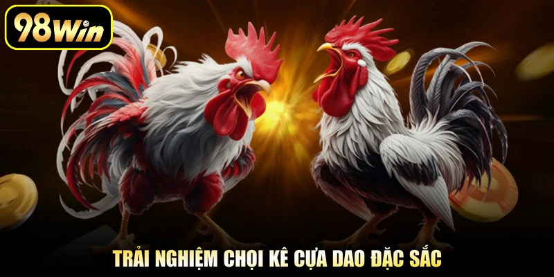 Đá Gà Cựa Dao - Khám Phá Những Trận Đấu Đầy Kịch Tính 1 Trải nghiệm chọi kê cựa dao đặc sắc